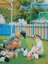 -萌宠亲子动物乐园(槐房万达店)