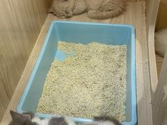 -屋虎猫馆(宝安大仟里店)