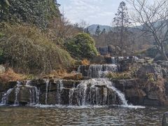 -大围山国家森林公园