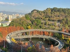 -福道