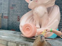 -北京野生动物园