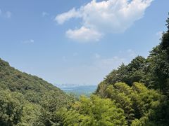 -韬光茶庵