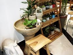 -十二舍·湯物素煮(江泰潤政店)