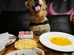 -百好乐宠物友好餐厅(朝外大街店)