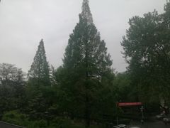 -陕西师范大学(雁塔校区)