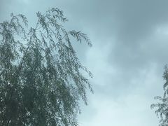 -栾川竹海野生动物园