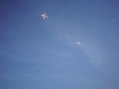 -杭州城北体育公园