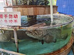 水产区-大天然酒店(军民路店)