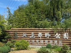 -上海长兴岛郊野公园