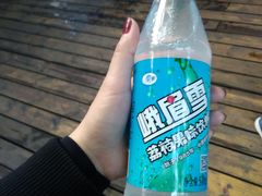 -峨眉山报国寺
