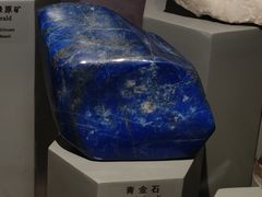 -正佳自然科学博物馆