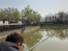 -尚庄度假村·庭台树下·户外烧烤·团建CS·轰趴营地(上庄水库店)