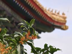 -北京市劳动人民文化宫(太庙)