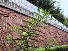 -广州神农草堂中医药博物馆