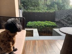 -上海崇明金茂凯悦酒店