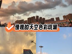 -同庆楼(天鹅湖万达店)