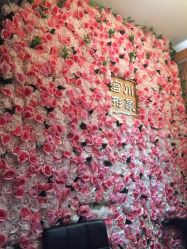 -宫川形象
