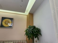 -新加坡泰园村酒楼直营(新华路店)