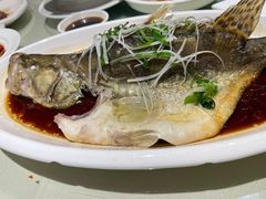 石斑鱼-衡山汇·高级粤菜(霄云路店)