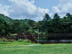 -海南热带雨林国家公园吊罗山景区