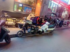 -老板恋上鱼(环山路店)