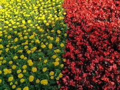 -艾溪湖湿地公园