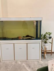 -FUMEIHUI·科技美肤·美体SPA