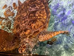 -波塞冬旅游度假区