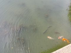 -拈花湾景区-五灯湖
