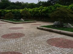 -嘉定紫藤园