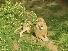 -石家庄市动物园