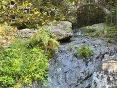 -夏霖九天银瀑风景区