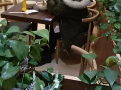 -状元水饺(成都SM广场店)