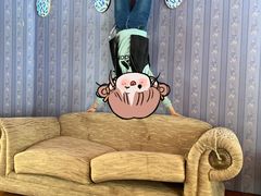 -金山农民画村-枫泾波兰倒置屋