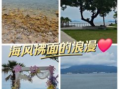 -杨梅坑