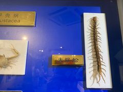 -上海昆虫博物馆