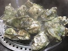 -蚝专家(北滘店)