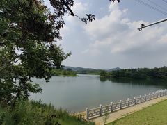 -佛手湖郊野公园