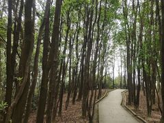 -火炉山森林公园