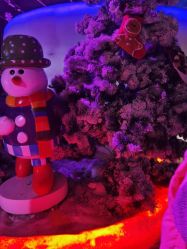 -圣名游乐城冰雪大世界