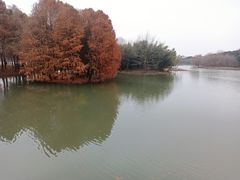 -梁鸿国家湿地公园