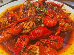 -京B·东篱精酿啤酒音乐餐厅