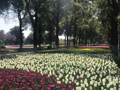 -上海鲜花港