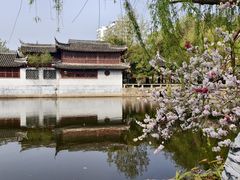 -水绘园