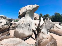 -惠州金海湾嘉华度假酒店