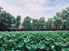 -四川大学(望江校区)