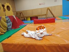 -金宝贝早教(南山花园城店)