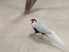 -长春农业博览园