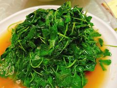 -阿英煲(凉城路店)