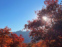 -周口店坡峰岭风景区